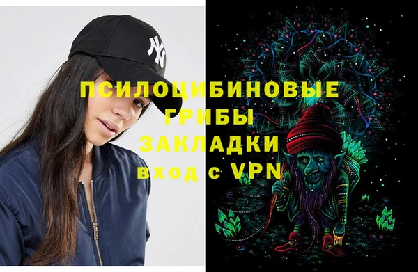 прущие крисы Тайга