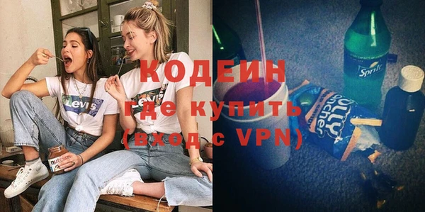 амф Бородино